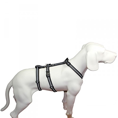 Hoffmann Das Original - NoExit Hundegeschirr ® - 100% ausbruchsicher für Angsthunde, Sicherheitsgeschirr für Pflegehunde, Panikgeschirr, Reflexband schwarz, Bauchumfang 40-60 cm, 15 mm Bandbreite von Hoffmann