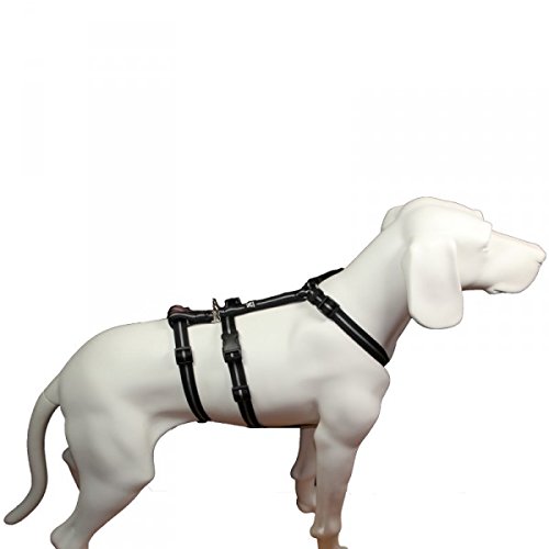 Hoffmann Das Original - NoExit Hundegeschirr ® - 100% ausbruchsicher für Angsthunde, Sicherheitsgeschirr für Pflegehunde, Panikgeschirr, schwarz Streifen, Bauchumfang 35-50 cm, 15 mm Bandbreite von Hoffmann