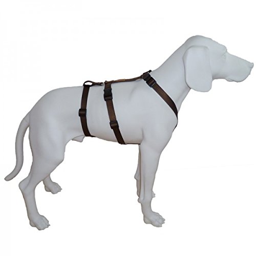 Hoffmann Das Original - NoExit Hundegeschirr ® - 100% ausbruchsicher für Angsthunde, Unifarben Braun, Bauchumfang 30-40 cm, Sicherheitsgeschirr für Pflegehund, Panikgeschirr, 15 mm Bandbreite von Hoffmann