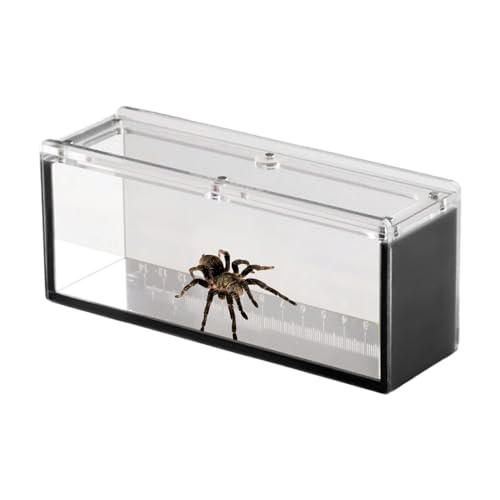 Hogvinnatil Fischschlüpfschachtel, Fischbeobachtungskoffer - Acrylfisch -Betrachtungsfall mit Deckel | Züchterbox für Wasserisolation für Krabben, Schnecken, Spinnen Hogvinnatil Fischschlüpfschachtel, Fischbeobachtungskoffer - Acrylfisch -Betrachtungsfall mit Deckel | Züchterbox für Wasserisolation für Krabben, Schnecken, Spinnen von Hogvinnatil