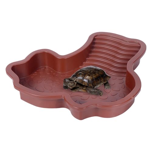 Hogvinnatil Reptilien Badebecken | Futterschale Und Wassernapf Für Reptilien Terrarium - Einweichschale mit Rampe, Terrarium Zubehör Sonnenplateau, Aquariumdekoration Futternapf für Amphibien Hogvinnatil Reptilien Badebecken | Futterschale Und Wassernapf Für Reptilien Terrarium - Einweichschale mit Rampe, Terrarium Zubehör Sonnenplateau, Aquariumdekoration Futternapf für Amphibien von Hogvinnatil