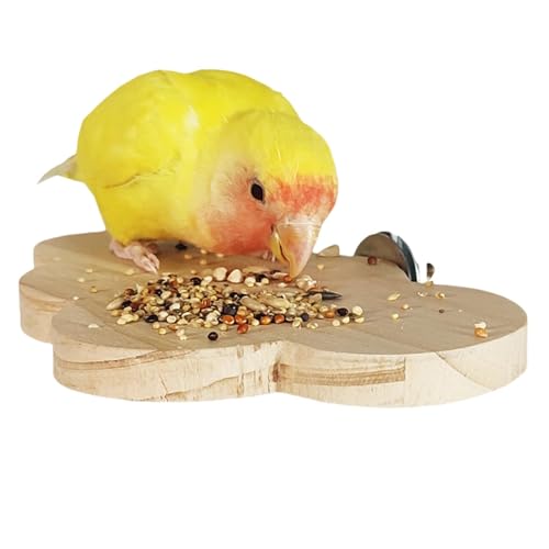 Hogvinnatil Vogelstangen für Käfig, Sichtweite | Budgie Barch Stand - -Käfigzubehör für Sittiche Cockatiel Lovebirds Conures Brudgie Hamster von Hogvinnatil