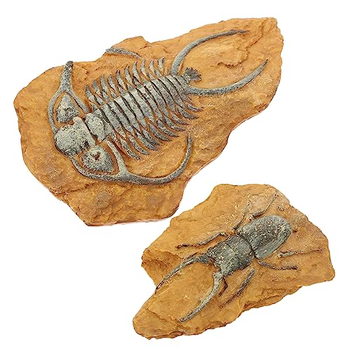 Hohopeti 2Er-Box simuliertes Harzfossil Krabbelndes Spielzeug Reptilienhaut Simulation Terrarium Dekore Reptile Decor Terrarium Decor Schlangen-Reptilien-Dekore Landschaft für Wohnkultur von Hohopeti