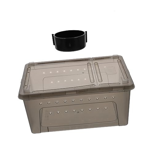 Hohopeti 2er-Box Futterbox Für Reptilien Terrarium Für Schildkröten Tank Brüterei Reptilienträger Reptilienzuchtkäfig Zubehör Für Schildkrötenpanzer Futterautomat Für Haustiere Plastik von Hohopeti