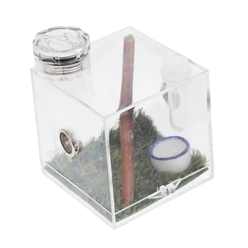 Hohopeti 3er-Box Springspinnen-zuchtbox Froschträger Springender Spinnenkäfig Lebensraumkäfig Für Schnecken Sprungspinnengehege Spinnenträger Mini-Terrarium Mikro Bausatz Reptil Acryl von Hohopeti