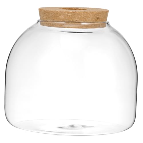 Hohopeti 4 Stück Flasche Aus Korkglas Luftpflanzenhalter Ökologische Flasche Goldfischglas Terrarienschale Groß Topf Für Hydroponische Pflanzen Hydrokulturpflanzen Terrarium Bausatz Holz von Hohopeti