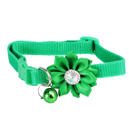 Hohopeti Halsband Für Katze Welpenhalsband Welpenhalsbänder Für Kleine Welpen Halsband Für Hundemarken Kätzchenhalsbänder Kragen Heimtierbedarf Welpenmarke Wurfhalsbänder Green von Hohopeti