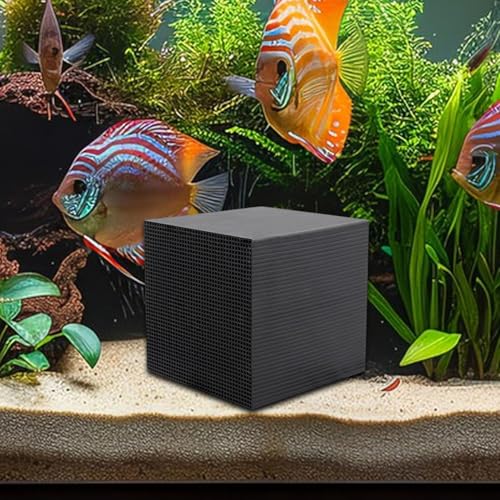 Aktivkohle Aquarium Filter, Cube Wabenstruktur Holzkohle Deodo rant Wasserreiniger Filterzubehör, Aktivkohlewürfel,Effektive Filtration Und Absorption Von Wassertrog Reinigungswürfeln Für Die von Holdes