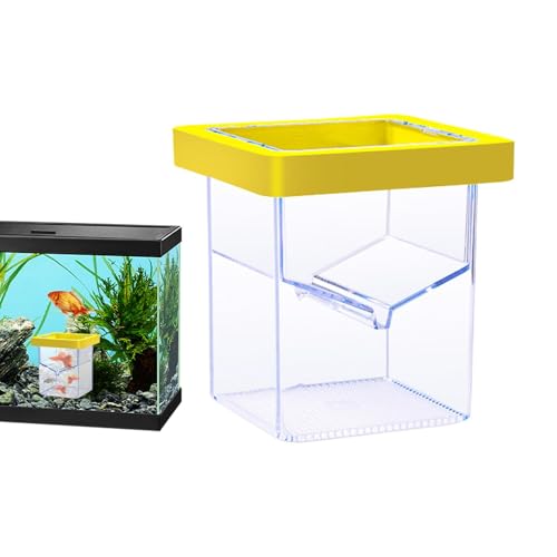 Holdes Aquarium -Zuchtbox, Fischtankzüchterbox - Brutschachtel der Fischtank -Brüterei - Saugnapfbecher -Schlupfbehälter, Inkubator von Aquarium Acclimation Hatchy für Baby -und Guppy von Holdes