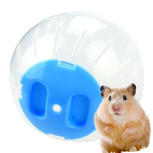 Holdes Hamsterbälle zum, Hamster Ball, Laufrad ausgehöhltes Hamster -Spiele, Fun Aktivität Spielzeug kompakte Meerschweinchen, die Ball für Innen im Freien Lassen von Holdes