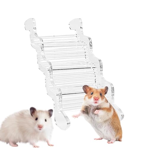 Holdes Hamsterbrücke, Spielzeug für syrische Hamster,Transparente Kletterleiter für Hamster - Kleintierrampe, Hamstermöbel für Rennmäuse, Mäuse, Kleintiere von Holdes