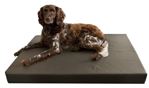 Holland Animal Care KUSS041 Hundebett - Hüftdysplasie, 75 x 100 cm von Holland Animal Care