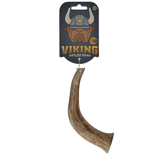 Viking Antler Hard-Kauhorn - Hält Lange - Für alle Hunde geeignet - Reinigt die Zähne - Kausnack für Hunde - Größe XL von Holland Animal Care