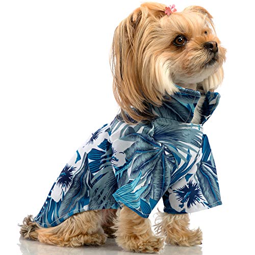 Hollypet Hundekleidung, Hawaii-Haustier-Shirt, Aloha-Hunde-Shirt, Sommerkleidung, cool für kleine bis mittelgroße Welpen, Katzen, blau, S von Hollypet