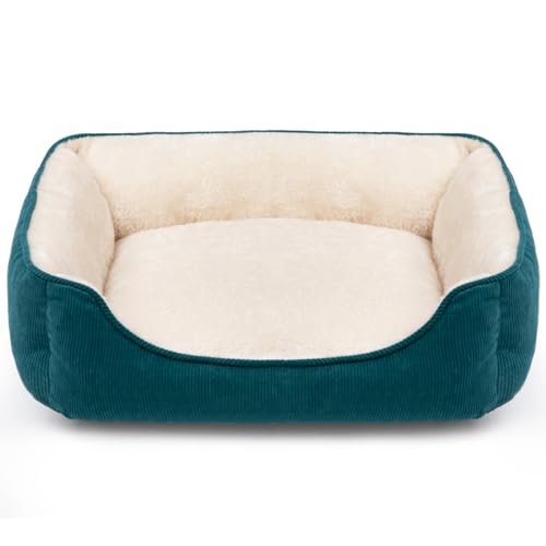 Hollypet Katzenbett Kleines Hundebett Haustierbett für Katzen und Welpen, Weiches Haustierschlafbett Atmungsaktives Haustierkissen, Grün (55 * 45 * 15cm) von Hollypet