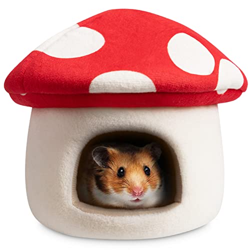 Hollypet Kleintierbett Niederländisches Schweinchen Hamsternest Igel Ratte Chinchilla Meerschweinchen Lebensraum Mini-Haus, roter Pilz, S von Hollypet