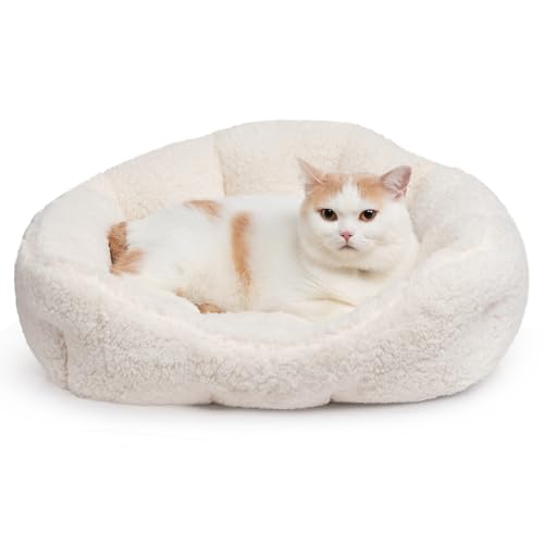 Hollypet Sherpa-Fleece-Hundebett, selbstwärmendes Haustierbett für kleine Hunde, Katzen, Schlafsack, Kissen, rechteckiges Haustierbett, Weiß von Hollypet