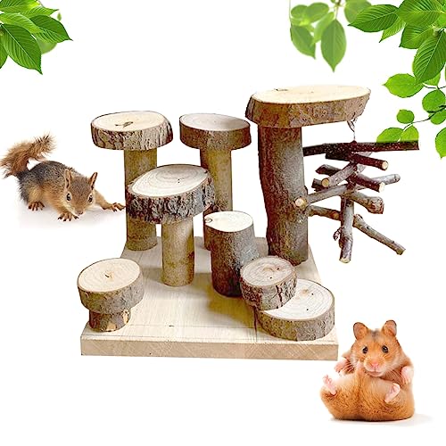 Holzsammlung Hamster Spielplatz aus Holz, Hamster Leiter Kletterspielzeug Trainingsgerät Ratten Übung Spielzeug Kleine Haustiere Hausdekoration Käfig Zubehör für Zwerghamster, Rennmäuse, Mäuse von Holzsammlung