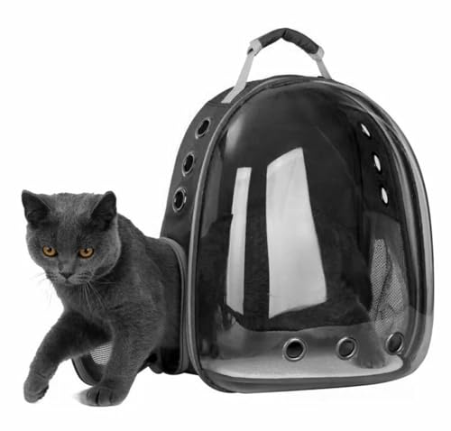 Rucksack für Haustiere - Tragetasche für Katzen und kleine Hunde - Transporttasche - Tiertragetasche - B30 x L25 x H40 cm - Transparent/Grau/Schwarz von HomeShopXL