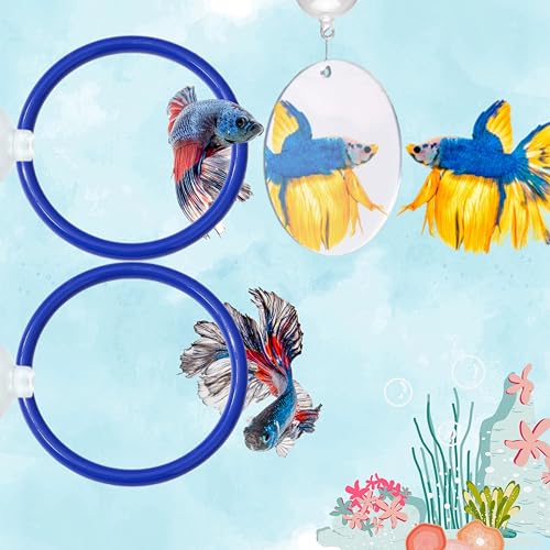 Betta Fischanreicherungsspielzeug, Ring und Spiegel, schwimmender Übungsspiegel und Trainingsring, schwimmender Spiegel für Aquarium mit Futterringen, Fischspielzeug, Betta-Aquarium-Zubehör (blau + Betta Fischanreicherungsspielzeug, Ring und Spiegel, schwimmender Übungsspiegel und Trainingsring, schwimmender Spiegel für Aquarium mit Futterringen, Fischspielzeug, Betta-Aquarium-Zubehör (blau + von Homedy Crafts
