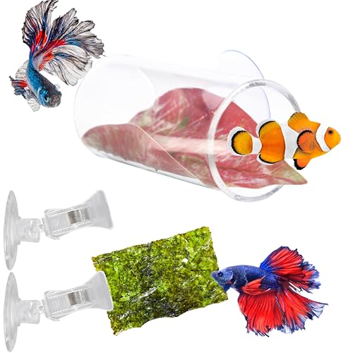 Betta-Tunnel mit 2 Gemüse-Clips für Aquarium, Betta-Versteck Tunnel, Blatt-Pad-Röhre und Fischfutter-Clip, Blatt-Clip, Futterwerkzeug, Bettas Aquarium-Zubehör für Zucht, Ruhefütterung (S, Schlauch) Betta-Tunnel mit 2 Gemüse-Clips für Aquarium, Betta-Versteck Tunnel, Blatt-Pad-Röhre und Fischfutter-Clip, Blatt-Clip, Futterwerkzeug, Bettas Aquarium-Zubehör für Zucht, Ruhefütterung (S, Schlauch) von Homedy Crafts