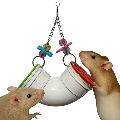 Homedy Crafts Mäuse-Ratten-Anreicherungsspielzeug Futtersuche, Leckerli-Spender Ratten Futtersuchspielzeug, interaktives Verstecken Leckerlis Anreicherung Hamsterspielzeug für Ratten, Meerschweinchen Homedy Crafts Mäuse-Ratten-Anreicherungsspielzeug Futtersuche, Leckerli-Spender Ratten Futtersuchspielzeug, interaktives Verstecken Leckerlis Anreicherung Hamsterspielzeug für Ratten, Meerschweinchen von Homedy Crafts