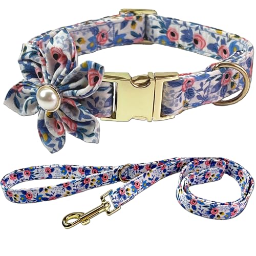 Hundehalsband und Leine, Set mit Blumenmuster, elegant, langlebig, Frühlingsblumen-Hundehalsband mit Leinen, weiche, bequeme Baumwolle, niedliche Rosenhalsbänder, Leinen, für Jungen und Mädchen, von Homedy Crafts