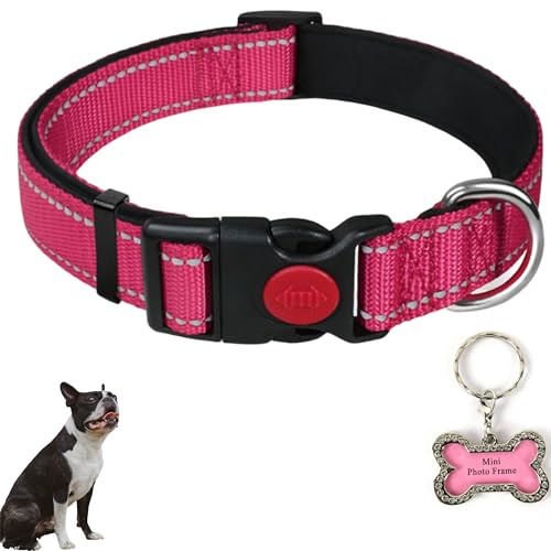 Reflektierendes Hundehalsband-Namensschilder-Set, bequem, verstellbar, reflektierend, Nylon, mit Mini-Fotorahmen, Anti-Verlust-Informationskarte, handgeschrieben, Hundezubehör (Rosenrot, M) von Homedy Crafts