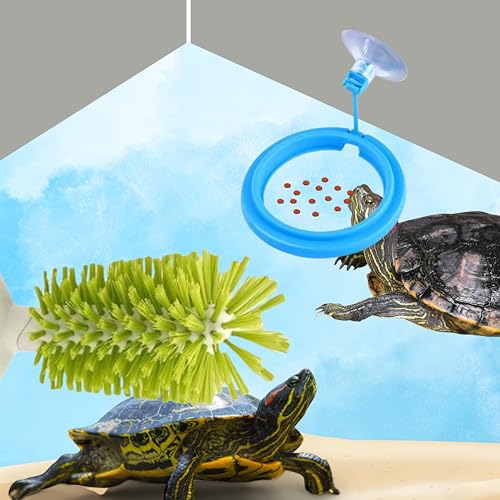 Schildkrötenbürste mit Saugnapf und Futterring, Schildkrötenpanzerbürste und Schildkrötenfutterspender, Aquarium Spielzeug für Schildkröten, Schildkröte Tank Zubehör, Aquarium Spielzeug, Fisch Schildkrötenbürste mit Saugnapf und Futterring, Schildkrötenpanzerbürste und Schildkrötenfutterspender, Aquarium Spielzeug für Schildkröten, Schildkröte Tank Zubehör, Aquarium Spielzeug, Fisch von Homedy Crafts
