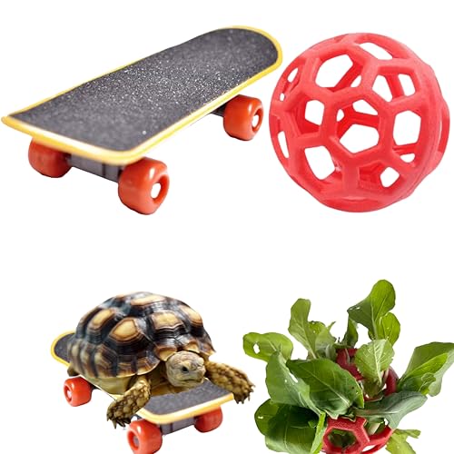 Training Skateboard Spielzeug und Schildkröte Leckerli Ball Set, Schildkröte Feeder Ball und Lustiges Skateboard, Schildkröte Spielzeug Fütterungsbälle Gemüse Gras Für Kleintiere Haustiere von Homedy Crafts