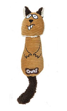 HomestreetUK Cute and Soft Crufts® Kauspielzeug aus Cord mit Quietschelement, für Haustiere, 3 Tiere, Waschbär, Fuchs oder Eichhörnchen, flauschig, weich und quetschbar mit Quietscher (Eichhörnchen) von HomestreetUK