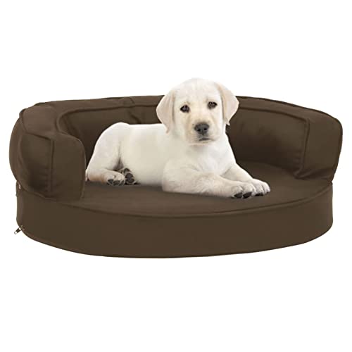 Homgoday Ergonomisches Hundebett Matratze 60x42 cm Leinenoptik Braun, Hundebett Grosse Katzenbetten für Indoor Katzen & Welpe, Hundebett Sofa, Hundebett Matte für Mittlere und Große Haustiere von Homgoday