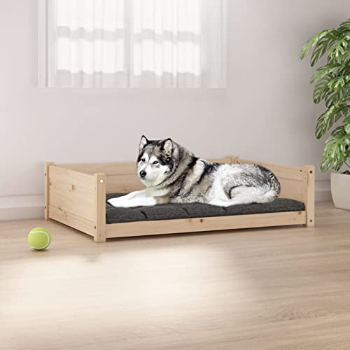 Homgoday Hundebett 105,5 x 75,5 x 28 cm Kiefer Massivholz, Hundebett Große Katzenbetten für Indoor Katzen und Welpen, Hundebett Sofa, Hundebett Matte für mittelgroße und große Haustiere 384 Tiere & von Homgoday