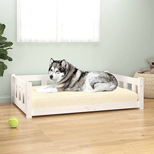 Homgoday Hundebett Weiß 105,5 x 75,5 x 28 cm Massivholz Kiefer, Hundebett Große Katzenbetten für Indoor Katzen und Welpen, Hundebett Sofa, Hundebett Matte für mittelgroße und große Haustiere 551 Tiere von Homgoday