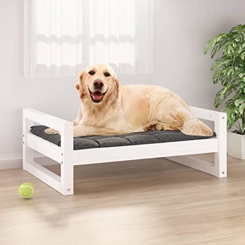 Homgoday Hundebett Weiß 75,5x55,5x28cm Kiefer Massivholz, Hundebett Große Katzenbetten für Indoor Katzen und Welpe, Hundebett Sofa, Hundebett Matte für Mittlere und Große Haustiere 375 von Homgoday