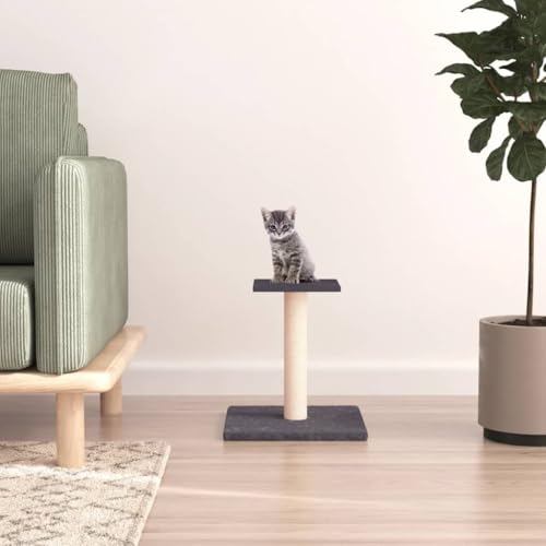 Homgoday Kratzbaum für Katzen mit Plattform dunkelgrau, 38 cm, Kratzbaum für Katzen, Katzenturm, Katzenbaum, Haus für Haustiere, Möbel für Katzen, Haustiere, Tiere von Homgoday