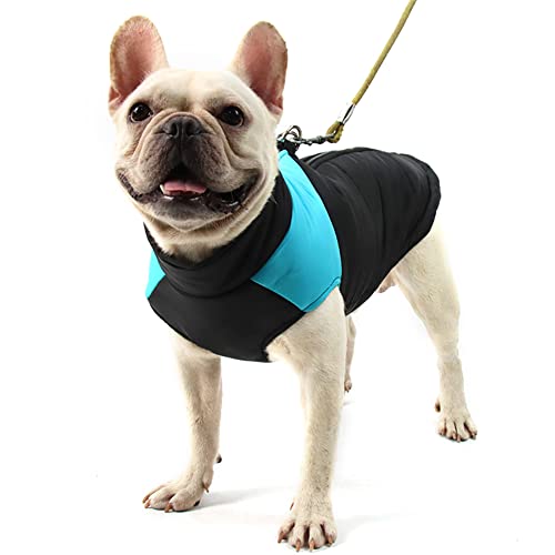 Homieco wasserdichte Hundemantel Jacke, Haustier Winterkleidung Snowproof Wasserdicht, Warme Haustier Jacke Hundejacke Hundepullover für Hunde - Blau von Homieco