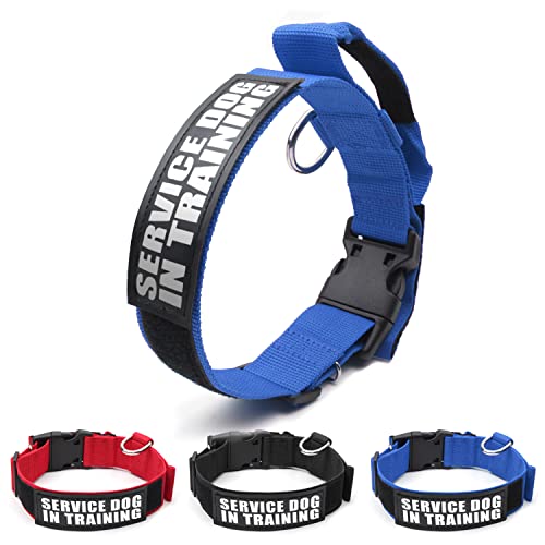 【 3 Farben in 3 Größen 】 Kaufestes Diensthundehalsband zum Trainieren von Hundehalsband, taktisches Hundehalsband, für 47 cm ~ 59.7 cm Halsumfang (L, blau) von Homiego