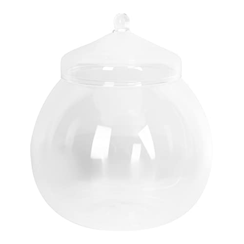 Homoyoyo 15 cm Glasbehälter Mit Deckel – Runde Transparente Glasvase Für Terrarien - Blumen Und Dekoration - Extra Großes Design Für Stilvolle Arrangements Und Tafelaufsätze von Homoyoyo