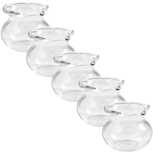 Homoyoyo 5Pcs Mini -Glas -Aquarium -Set - Kompakte Desktop -Fischtanks Für Kleine Fische Mini -Glasfischtanks Desktop -Aquarium -Set Und Einzigartige Mikro -Terrarium -Displays 0. 63X0. von Homoyoyo