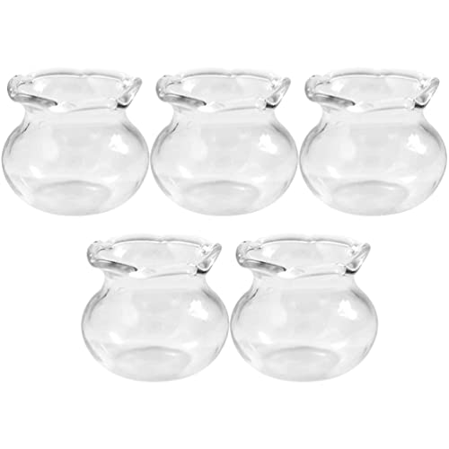 Homoyoyo 5Pcs Mini -Glas -Aquarium -Set - Kompakte Desktop -Fischtanks Für Kleine Fische Mini -Glasfischtanks Desktop -Aquarium -Set Und Einzigartige Mikro -Terrarium -Displays 0. 79X0. von Homoyoyo