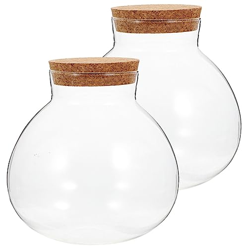 Homoyoyo Gläser Mit Deckel 2 Stück Ökologische Flasche Mikro-Landschaftsbau Pflanzenvermehrungsstation DIY-Korkflasche Korallenglas Aquarium Terrarium Vase Dekorativer Übertopf von Homoyoyo