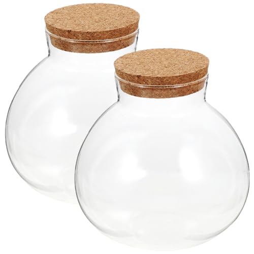 Homoyoyo Gläser Mit Deckel 2 Stück Ökologische Flasche Mikro-Landschaftsbau Pflanzenvermehrungsstation DIY-Korkflasche Korallenglas Aquarium Terrarium Vase Dekorativer Übertopf von Homoyoyo