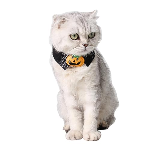 Homoyoyo Halloween Katzen- Und Hundehalsband Mit Kürbis-Design Für Kleine Haustiere Geeignet Inklusive Passender Fliege Perfekt Für Halloween Kostüme Und Festliche Anlässe von Homoyoyo