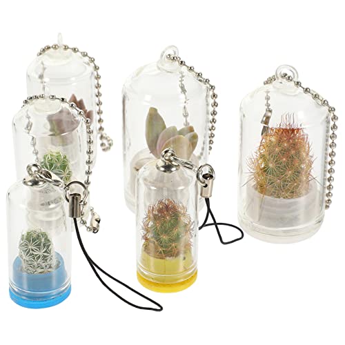 Homoyoyo Mini-Glas-Terrarium Behälter Mit Sukkulenten Schlüsselanhänger – Winzige Anhänger Für Kreative Deko Und Pflanzenliebhaber Ideal Als Oder Für Den Eigenen von Homoyoyo