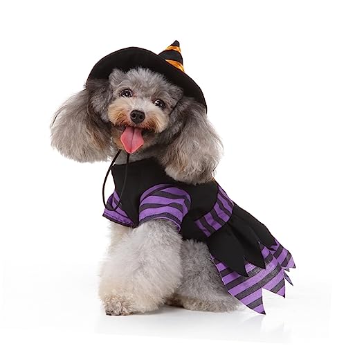 Homoyoyo Partykleidung Für Haustiere Kleine Haustierkostüme Hunde-Hoodie Hund Hundespielzeug Halloween-hundekostüme Halloween-kostüme Für Katzen Hundewindeln Weiblich Hundekleidung von Homoyoyo