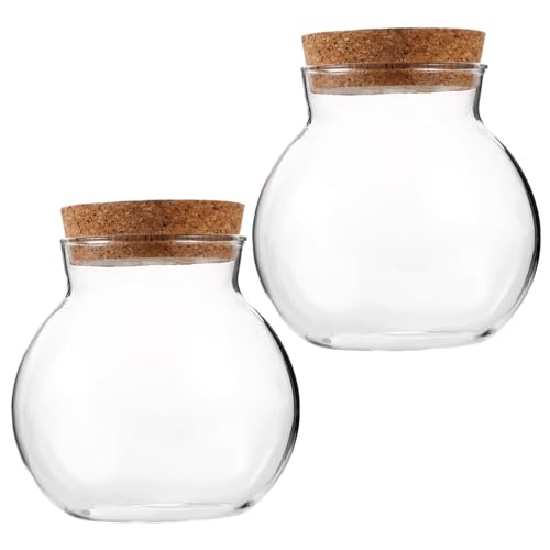 Homoyoyo Terrarienglas Mit Korkdeckel – Ökologische Glasvase Für Sukkulenten Und Luftpflanzen – 10x11cm Pflanzenterrarium Als Oder Für Kreative Displays – Bonbonglas Für Ihr von Homoyoyo