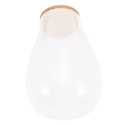 Homoyoyo Transparente Hydrokultur-Blumenvase Aus Glas Mit Holzkorken – Zylindrische Vase Für Pflanzen Und Terrarium - Ideal Für Zuhause Und Büro Stilvolle Dekoration Für Pflanzenliebhaber von Homoyoyo