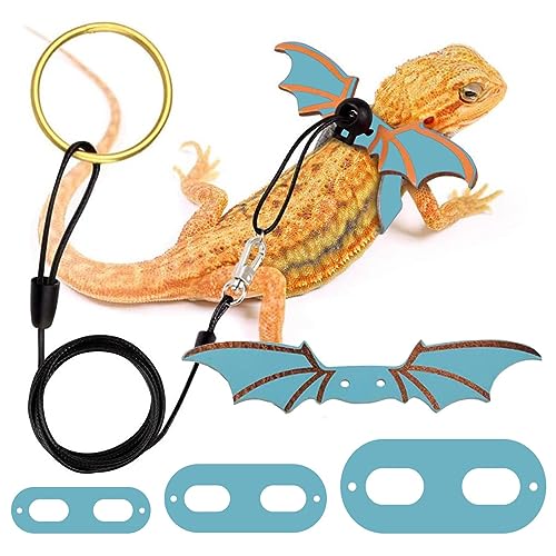 Bartagame Leine,Bartagame Leine und Geschirr Set | 3er-Pack Dinosaurier-Flügelgeschirr, Leine für Bartagamen, Reptilien, Chamäleons und Kleintiere Honhoha von Honhoha