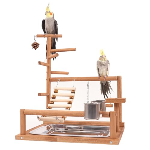Honicemar Vogelspielplatz – Holz Papageienständer, Wellensittich Spielplatz mit Leiter, Schaukel, Feeder-Cup, Tablett und Kauspielzeug Haustier Übungsspiel Gym Ständer für Kleine bis Mittelgroße Vögel Honicemar Vogelspielplatz – Holz Papageienständer, Wellensittich Spielplatz mit Leiter, Schaukel, Feeder-Cup, Tablett und Kauspielzeug Haustier Übungsspiel Gym Ständer für Kleine bis Mittelgroße Vögel von Honicemar
